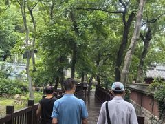 -青岛崂山太清宫