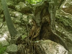 -华阳洞风景区