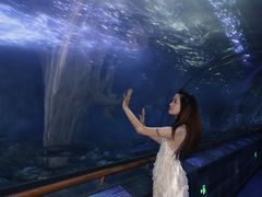 -厦门海底世界