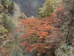 -黑河国家森林公园