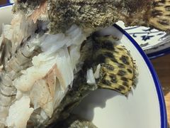 -岩泊渡桂鱼楼活鱼馆