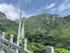 -大岭沟猕猴桃谷风景区