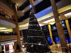 -成都天府丽都喜来登饭店