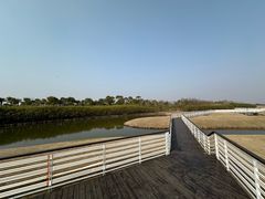 -春花秋色城市公园