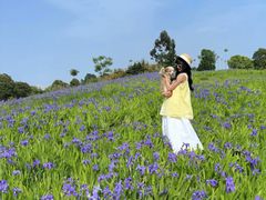 -白鹭湾湿地公园