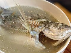 -顺和隆炖罐
