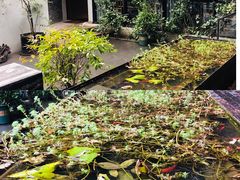 -箱美术馆私房菜(水晶郦城店)