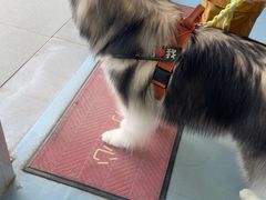 -全心全意动物诊疗中心医院(北苑店)