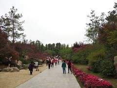 -秀丽东方