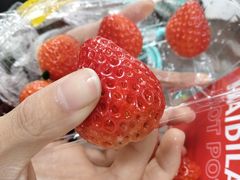 -粥瓜婆特色砂锅粥(白石洲店)