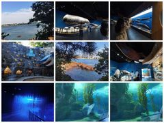 -青岛海底世界