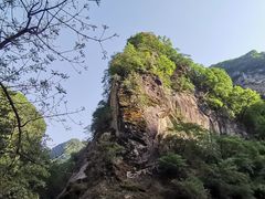 -少华山国家森林公园