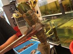 -ZF Seafood Restaurant 卓峰海鲜餐