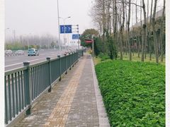 -上海市松江区泗泾医院