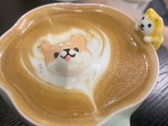 -逗柴咖啡屋·狗咖猫咖宠物桌游