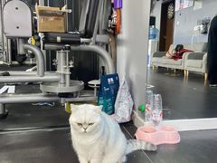 -M.S拳击泰拳馆(大学路店)
