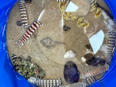 -六鳌翡翠湾滨海度假景区
