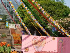 -南山植物园