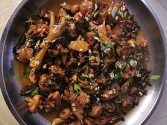 -庆岭迎宾园正宗活鱼馆