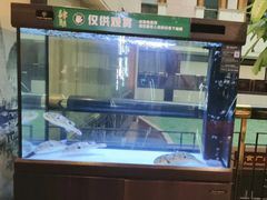 -肆月河豚·淮扬菜·湘菜(华天店)