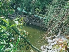 -郑和公园