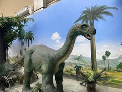 -国家自然博物馆