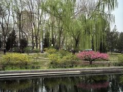 -元大都城垣遗址公园