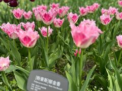 -国家植物园