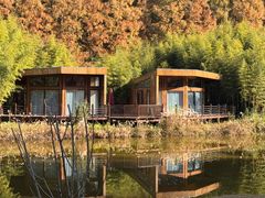 -黄海国家森林公园