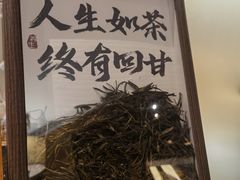 -The Lounge大堂酒廊·咖啡·沙拉·下午茶(金茂深圳JW万豪酒店)