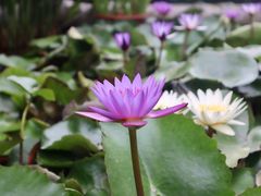 -白鹭湾湿地公园