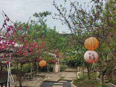-桃源山庄·水蜜桃采摘·柴火鸡·烧烤团建(龙泉山店)