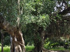 -汕头莲花山度假村温泉