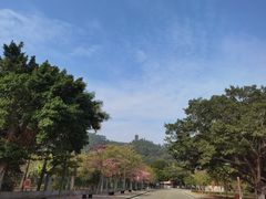 -南沙天后宫景区