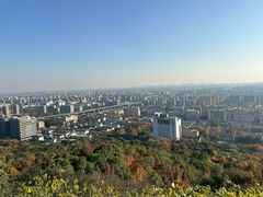 -杭州半山国家森林公园