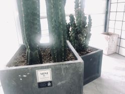 -宫铭烫发染发接发店