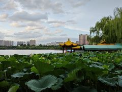 -济南大明湖景区