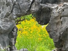 -刘长兴(逸仙桥店)