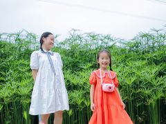 -桤木河湿地公园