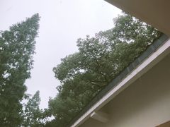 -食膳公园包子铺(烈士公园店)