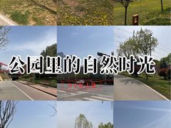 -洨河生态公园