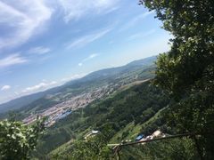-玉泉威虎山森林公园