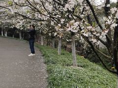 -老号尤兔头(幸福店)