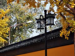 -西园戒幢律寺