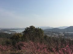 -香雪海