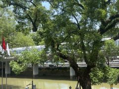 -广东胜利宾馆西关粤中餐厅