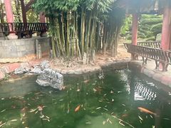 -华雅花园大酒店