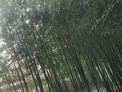 -陕拾叁(袁家村店)