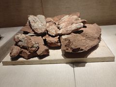 -广东省博物馆