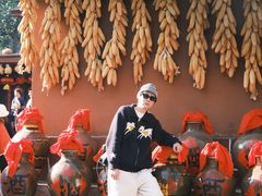 -云南民族村